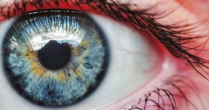 cornea - trapianto di cornea - CAMO - Centro Ambrosiano Oftalmico