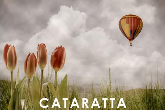 Cataratta: come vede una persona con cataratta